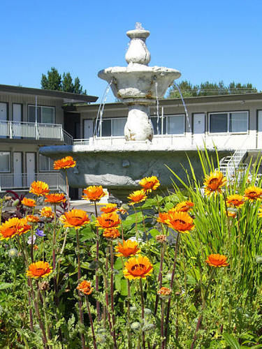 Comox Valley Inn & Suites กูร์เตอเนย์ ภายนอก รูปภาพ